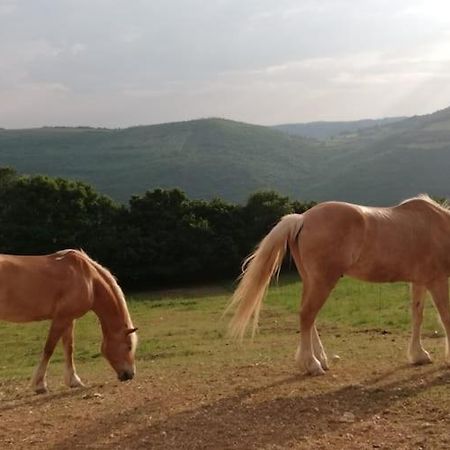 B&B Ca Montemezzano 베로나 외부 사진