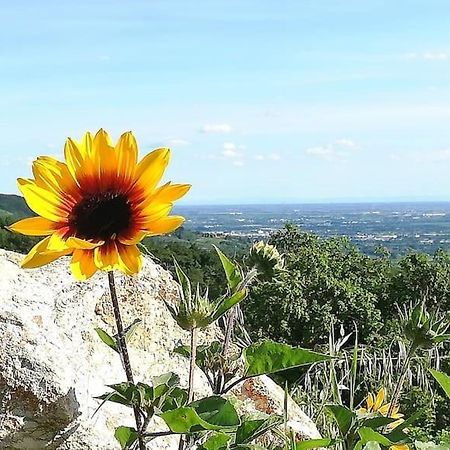 B&B Ca Montemezzano 베로나 외부 사진