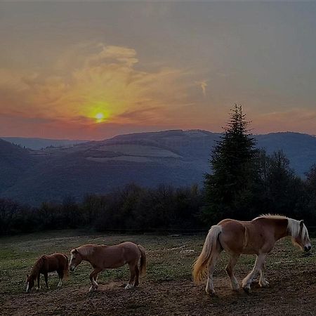 B&B Ca Montemezzano 베로나 외부 사진