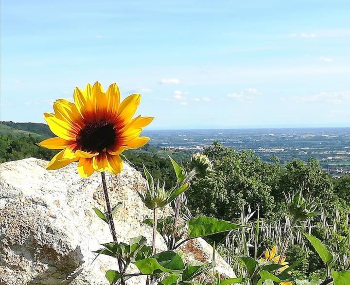 B&B Ca Montemezzano 베로나 외부 사진